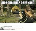 Нажмите на изображение для увеличения.

Название:	20-1.jpeg
Просмотров:	1425
Размер:	65.1 Кб
ID:	3693785