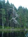 Нажмите на изображение для увеличения.

Название:	&#1055;&#1086;&#1074;&#1086;&#1088;&#1086;&#1090; DSC03560.jpg
Просмотров:	1257
Размер:	195.3 Кб
ID:	3693958