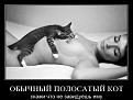 Нажмите на изображение для увеличения.

Название:	8.jpg
Просмотров:	1277
Размер:	48.6 Кб
ID:	3694330
