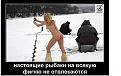 Нажмите на изображение для увеличения.

Название:	getImage (1)14324234.jpg
Просмотров:	1407
Размер:	43.6 Кб
ID:	3695797