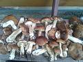 Нажмите на изображение для увеличения.

Название:	20140906_095912.jpg
Просмотров:	736
Размер:	184.6 Кб
ID:	3696101