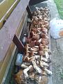 Нажмите на изображение для увеличения.

Название:	20140906_100352.jpg
Просмотров:	726
Размер:	191.7 Кб
ID:	3696103