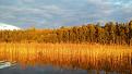 Нажмите на изображение для увеличения.

Название:	20140907_191527.jpg
Просмотров:	297
Размер:	160.4 Кб
ID:	3696353