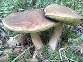 Нажмите на изображение для увеличения.

Название:	IMG_20140907_114555.jpg
Просмотров:	725
Размер:	92.2 Кб
ID:	3696478