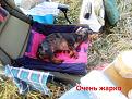 Нажмите на изображение для увеличения.

Название:	IMG_5945.JPG
Просмотров:	305
Размер:	107.9 Кб
ID:	3697673