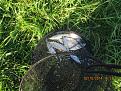 Нажмите на изображение для увеличения.

Название:	IMG_9033.jpg
Просмотров:	588
Размер:	210.2 Кб
ID:	3702938