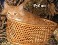 Нажмите на изображение для увеличения.

Название:	IMG_4583.JPG
Просмотров:	314
Размер:	13.3 Кб
ID:	3703579