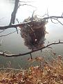 Нажмите на изображение для увеличения.

Название:	20141011_103524.jpg
Просмотров:	740
Размер:	192.8 Кб
ID:	3704244