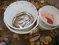 Нажмите на изображение для увеличения.

Название:	20141014_164752.jpg
Просмотров:	1058
Размер:	180.2 Кб
ID:	3704549