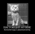 Нажмите на изображение для увеличения.

Название:	7.jpg
Просмотров:	1207
Размер:	34.4 Кб
ID:	3704794