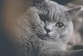 Нажмите на изображение для увеличения.

Название:	IMG_8375.jpg
Просмотров:	318
Размер:	74.2 Кб
ID:	3705881