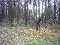 Нажмите на изображение для увеличения.

Название:	P1060367.jpg
Просмотров:	648
Размер:	205.8 Кб
ID:	3706026
