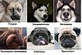 Нажмите на изображение для увеличения.

Название:	getImage (18).jpg
Просмотров:	1253
Размер:	63.1 Кб
ID:	3706177