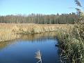 Нажмите на изображение для увеличения.

Название:	DSCF3795.jpg
Просмотров:	881
Размер:	77.4 Кб
ID:	3706790