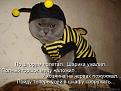 Нажмите на изображение для увеличения.

Название:	&#1087;&#1095;&#1077;&#1083;&#1082;&#1072; &#1084;&#1072;&#1103;.jpg
Просмотров:	337
Размер:	42.1 Кб
ID:	3707170