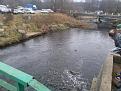 Нажмите на изображение для увеличения.

Название:	20141115_113927.jpg
Просмотров:	1080
Размер:	189.7 Кб
ID:	3707588