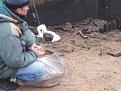 Нажмите на изображение для увеличения.

Название:	20141115_114444.jpg
Просмотров:	1079
Размер:	120.1 Кб
ID:	3707596