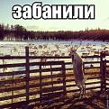 Нажмите на изображение для увеличения.

Название:	&#1047;&#1072;&#1073;&#1072;&#1085;&#1110;&#1083;&#1110;.jpg
Просмотров:	1591
Размер:	80.9 Кб
ID:	3709777