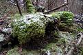 Нажмите на изображение для увеличения.

Название:	DSC01476.JPG
Просмотров:	576
Размер:	165.9 Кб
ID:	3710554