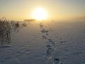 Нажмите на изображение для увеличения.

Название:	IMG_2827.jpg
Просмотров:	1039
Размер:	46.0 Кб
ID:	3712026
