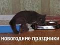 Нажмите на изображение для увеличения.

Название:	&#1087;&#1086;&#1088;4.jpg
Просмотров:	1289
Размер:	55.6 Кб
ID:	3715298
