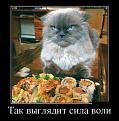 Нажмите на изображение для увеличения.

Название:	&#1087;&#1086;&#1088;5.jpg
Просмотров:	1293
Размер:	44.2 Кб
ID:	3715299