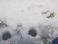 Нажмите на изображение для увеличения.

Название:	100120151904.jpg
Просмотров:	970
Размер:	67.7 Кб
ID:	3716370