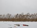 Нажмите на изображение для увеличения.

Название:	IMG_3144.jpg
Просмотров:	879
Размер:	44.6 Кб
ID:	3719701