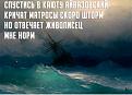 Нажмите на изображение для увеличения.

Название:	1400683398_788907388 (1)_cr_cr.jpg
Просмотров:	1312
Размер:	97.9 Кб
ID:	3725155