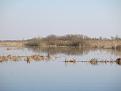 Нажмите на изображение для увеличения.

Название:	IMG_3551.jpg
Просмотров:	817
Размер:	31.8 Кб
ID:	3729839