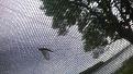 Нажмите на изображение для увеличения.

Название:	WP_20150528_003[1].jpg
Просмотров:	1081
Размер:	205.0 Кб
ID:	3744408