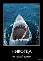 Нажмите на изображение для увеличения.

Название:	1923282.jpg
Просмотров:	719
Размер:	81.5 Кб
ID:	3746326