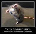 Нажмите на изображение для увеличения.

Название:	15.jpg
Просмотров:	1222
Размер:	59.4 Кб
ID:	3747687