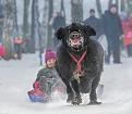 Нажмите на изображение для увеличения.

Название:	17.jpg
Просмотров:	1203
Размер:	61.2 Кб
ID:	3747689