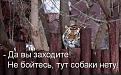 Нажмите на изображение для увеличения.

Название:	23.jpg
Просмотров:	1169
Размер:	53.0 Кб
ID:	3747695