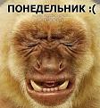 Нажмите на изображение для увеличения.

Название:	7.jpg
Просмотров:	1286
Размер:	150.8 Кб
ID:	3752275