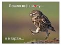 Нажмите на изображение для увеличения.

Название:	2.jpg
Просмотров:	1216
Размер:	24.3 Кб
ID:	3752395