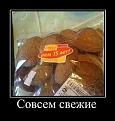 Нажмите на изображение для увеличения.

Название:	b475e16dd318f9864117f38042a9452b.jpg
Просмотров:	1131
Размер:	34.0 Кб
ID:	3753966