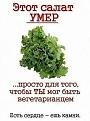 Нажмите на изображение для увеличения.

Название:	8.jpg
Просмотров:	1270
Размер:	62.8 Кб
ID:	3760237