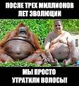 Нажмите на изображение для увеличения.

Название:	11987156_524404307709568_3655101051476222287_&#1040;.jpg
Просмотров:	1229
Размер:	87.7 Кб
ID:	3761007