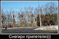 Нажмите на изображение для увеличения.

Название:	image (3).jpg
Просмотров:	1286
Размер:	85.0 Кб
ID:	3761430
