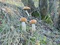 Нажмите на изображение для увеличения.

Название:	DSC00193.jpg
Просмотров:	787
Размер:	210.5 Кб
ID:	3764774