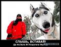 Нажмите на изображение для увеличения.

Название:	10.jpg
Просмотров:	1214
Размер:	61.1 Кб
ID:	3767045