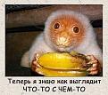 Нажмите на изображение для увеличения.

Название:	image (2).jpg
Просмотров:	1187
Размер:	47.9 Кб
ID:	3770535