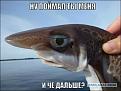 Нажмите на изображение для увеличения.

Название:	60.jpg
Просмотров:	1413
Размер:	51.1 Кб
ID:	3770616