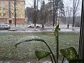 Нажмите на изображение для увеличения.

Название:	&#1089;&#1085;&#1077;&#1075;....jpg
Просмотров:	371
Размер:	201.5 Кб
ID:	3772264