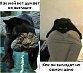 Нажмите на изображение для увеличения.

Название:	6.jpg
Просмотров:	1294
Размер:	45.5 Кб
ID:	3773182