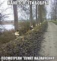 Нажмите на изображение для увеличения.

Название:	9.jpg
Просмотров:	1307
Размер:	117.9 Кб
ID:	3773185