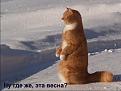 Нажмите на изображение для увеличения.

Название:	&#1042;&#1077;&#1089;&#1085;&#1072;1.jpg
Просмотров:	478
Размер:	54.1 Кб
ID:	3773363