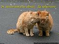 Нажмите на изображение для увеличения.

Название:	&#1050;&#1086;&#1090;&#1101;&#1088;&#1072;&#1089;.jpg
Просмотров:	397
Размер:	69.3 Кб
ID:	3773486